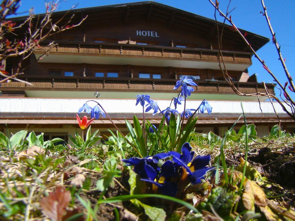 Hotel Bellevue Neustift im Stubaital Eksteriør billede